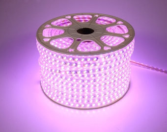 led燈帶廠家
